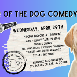 Hair of the Dog Comedy Night at Adopted Dog Brewing