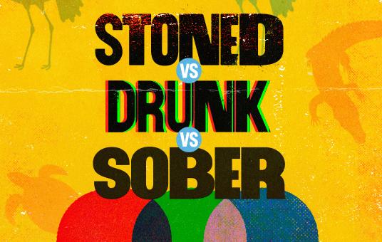 Stoned vs Drunk vs Sober - A Stand Up Comedy Show